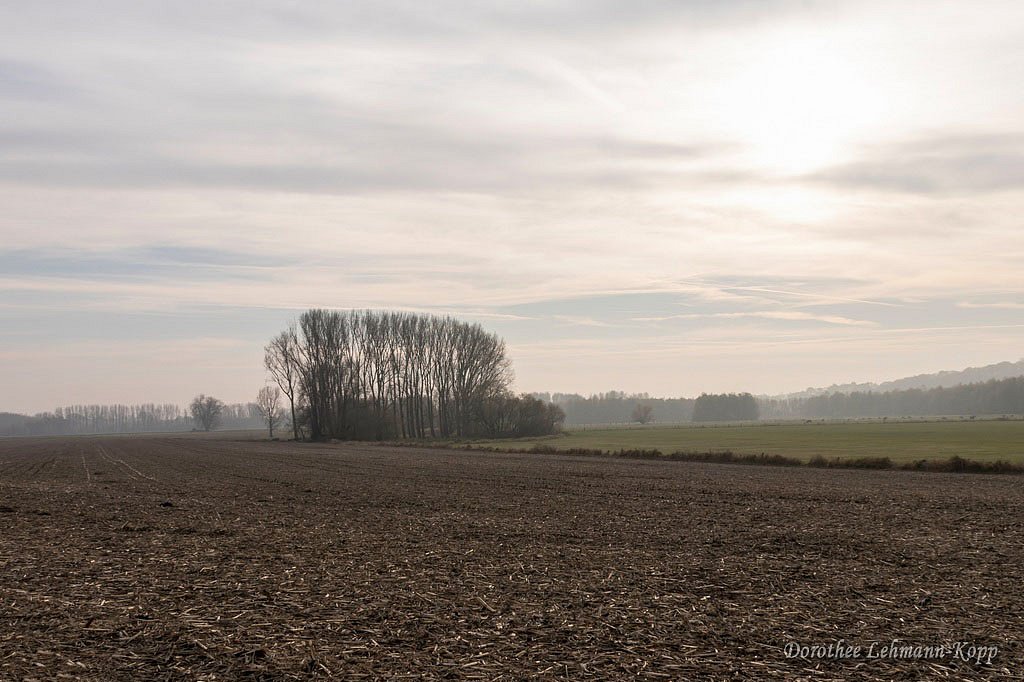 NSG Bislicher Insel