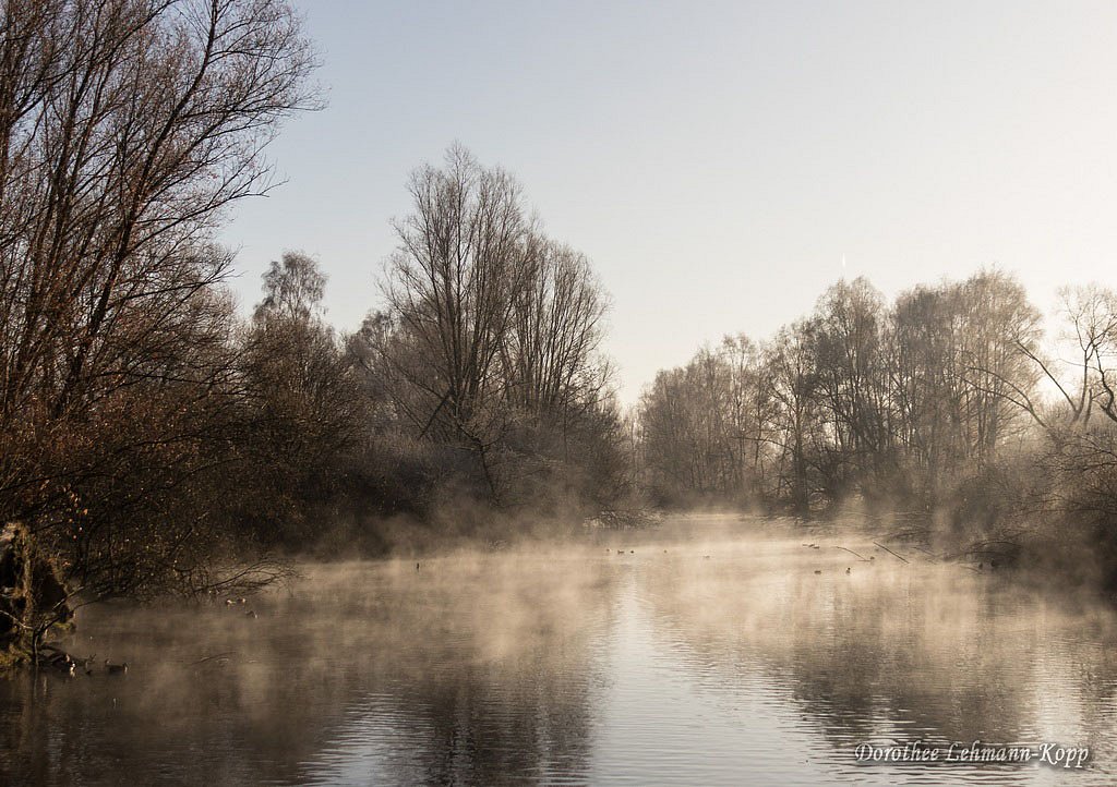 Ruhr Auen Saarn