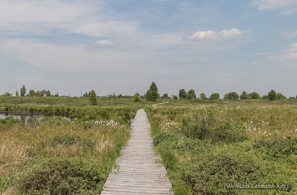 Venns Ostbelgien