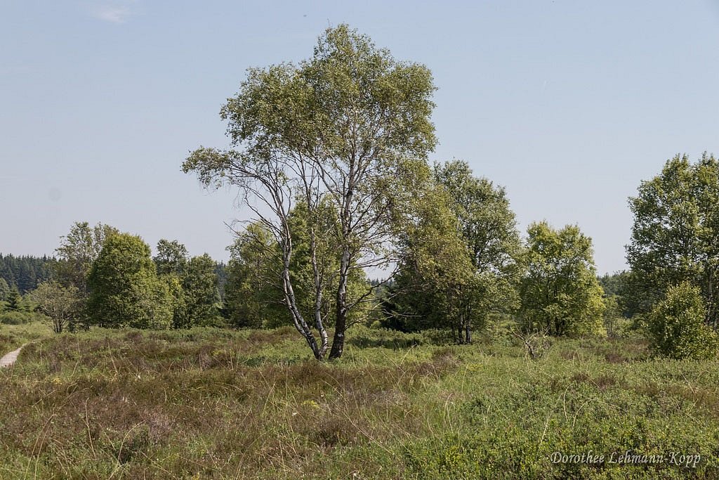 Venns Ostbelgien
