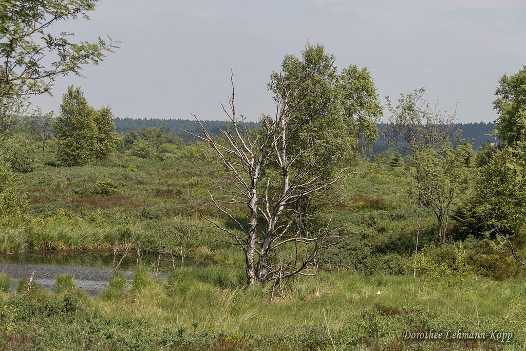 Venns Ostbelgien