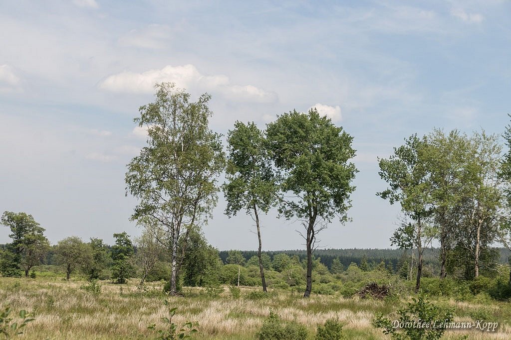 Venns Ostbelgien