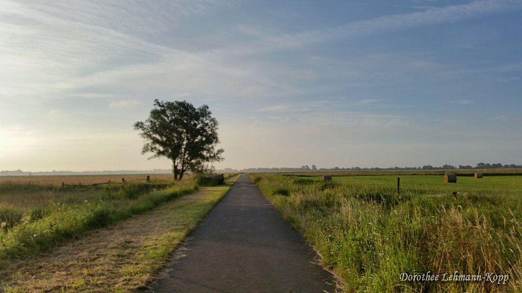 Borgfelder Wuemmewiesen