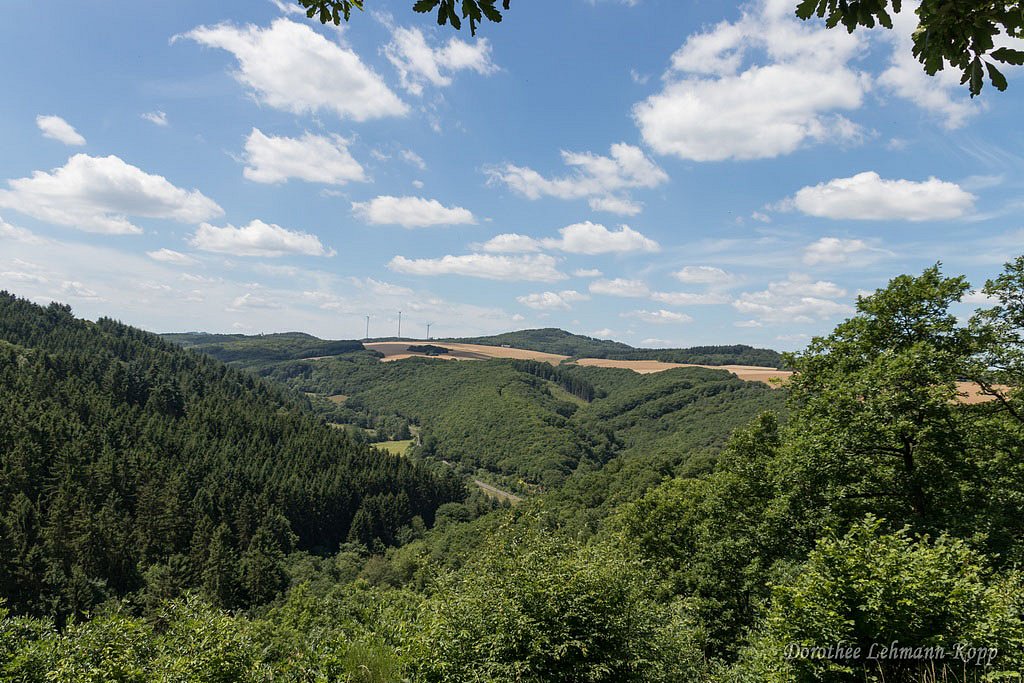 Vordereifel