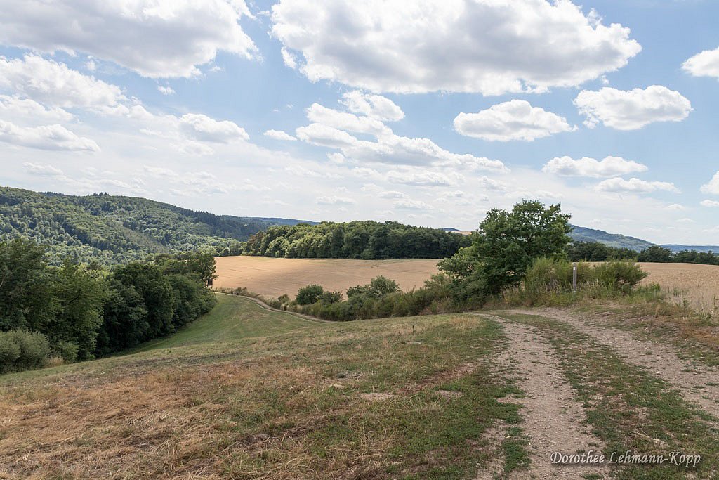 Vordereifel