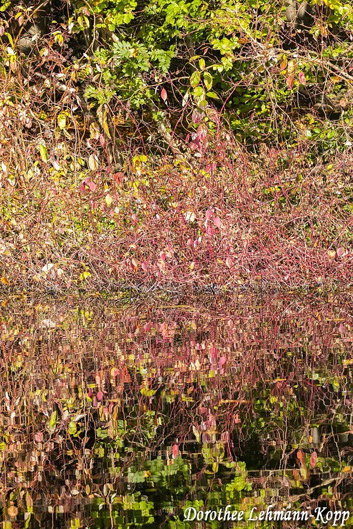 Stauseebogen Baldeneysee Essen