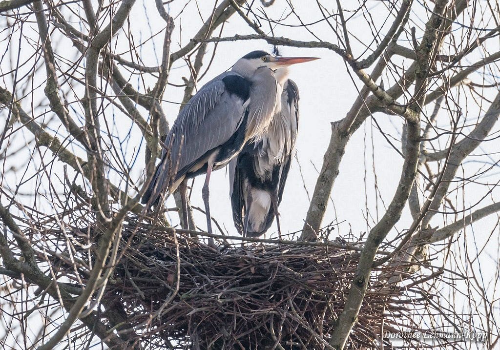 170201-stauseebogen-022.jpg