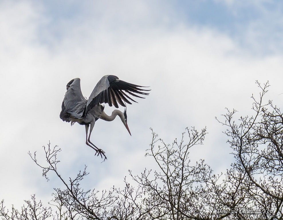 170406-stauseebogen-045.jpg