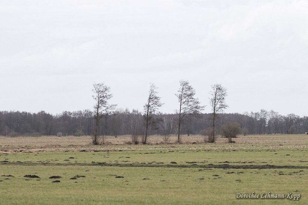 170222-st-juergensland-069.jpg
